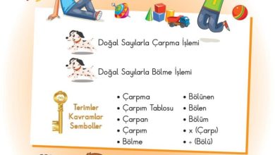 2. Sınıf Matematik Pasifik Yayınları Sayfa 133 Cevapları