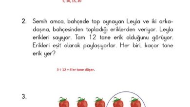 2. Sınıf Matematik Pasifik Yayınları Sayfa 134 Cevapları