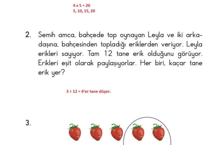 2. Sınıf Matematik Pasifik Yayınları Sayfa 134 Cevapları