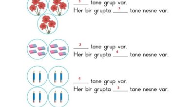 2. Sınıf Matematik Pasifik Yayınları Sayfa 135 Cevapları