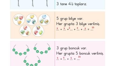 2. Sınıf Matematik Pasifik Yayınları Sayfa 137 Cevapları