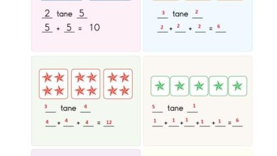 2. Sınıf Matematik Pasifik Yayınları Sayfa 138 Cevapları