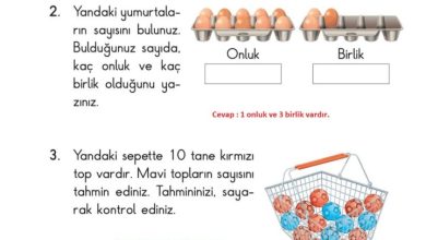 2. Sınıf Matematik Pasifik Yayınları Sayfa 14 Cevapları