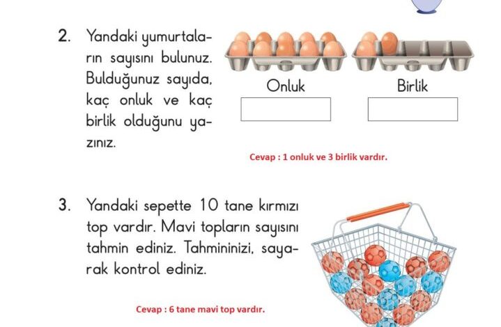 2. Sınıf Matematik Pasifik Yayınları Sayfa 14 Cevapları