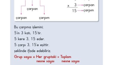 2. Sınıf Matematik Pasifik Yayınları Sayfa 141 Cevapları