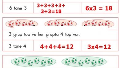 2. Sınıf Matematik Pasifik Yayınları Sayfa 142 Cevapları