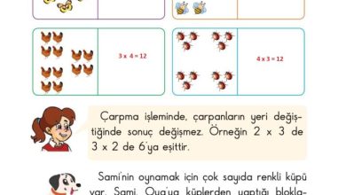 2. Sınıf Matematik Pasifik Yayınları Sayfa 143 Cevapları