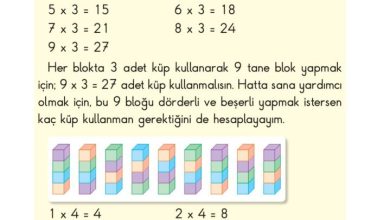 2. Sınıf Matematik Pasifik Yayınları Sayfa 145 Cevapları