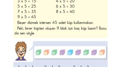 2. Sınıf Matematik Pasifik Yayınları Sayfa 146 Cevapları