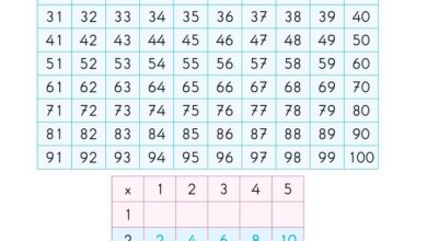 2. Sınıf Matematik Pasifik Yayınları Sayfa 147 Cevapları