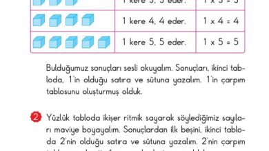 2. Sınıf Matematik Pasifik Yayınları Sayfa 148 Cevapları