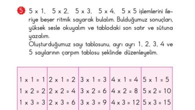 2. Sınıf Matematik Pasifik Yayınları Sayfa 149 Cevapları