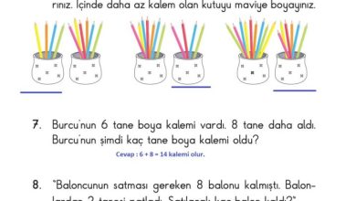 2. Sınıf Matematik Pasifik Yayınları Sayfa 15 Cevapları