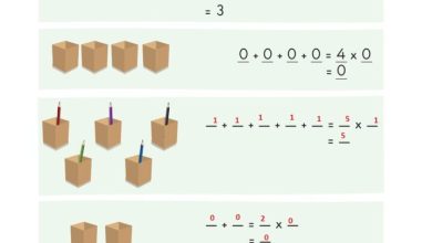 2. Sınıf Matematik Pasifik Yayınları Sayfa 151 Cevapları