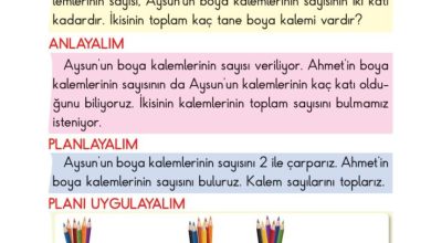 2. Sınıf Matematik Pasifik Yayınları Sayfa 152 Cevapları