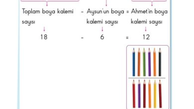 2. Sınıf Matematik Pasifik Yayınları Sayfa 153 Cevapları