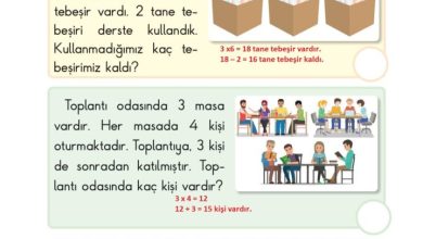 2. Sınıf Matematik Pasifik Yayınları Sayfa 154 Cevapları