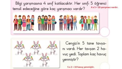 2. Sınıf Matematik Pasifik Yayınları Sayfa 155 Cevapları