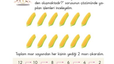 2. Sınıf Matematik Pasifik Yayınları Sayfa 156 Cevapları