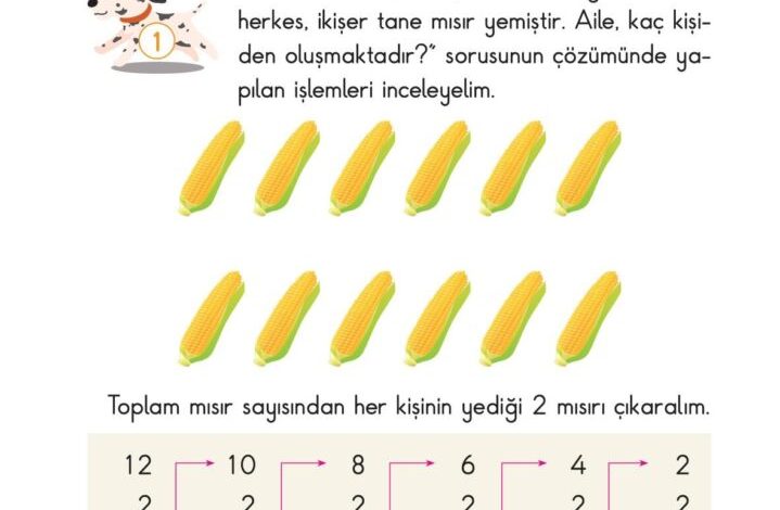 2. Sınıf Matematik Pasifik Yayınları Sayfa 156 Cevapları