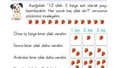 2. Sınıf Matematik Pasifik Yayınları Sayfa 157 Cevapları