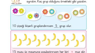 2. Sınıf Matematik Pasifik Yayınları Sayfa 158 Cevapları