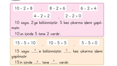 2. Sınıf Matematik Pasifik Yayınları Sayfa 159 Cevapları