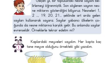 2. Sınıf Matematik Pasifik Yayınları Sayfa 16 Cevapları