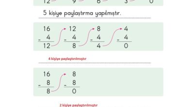 2. Sınıf Matematik Pasifik Yayınları Sayfa 160 Cevapları