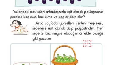 2. Sınıf Matematik Pasifik Yayınları Sayfa 161 Cevapları