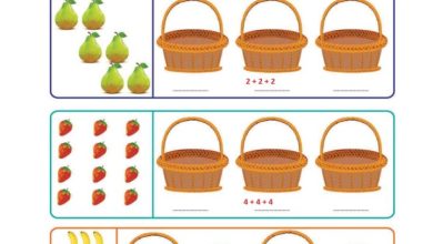 2. Sınıf Matematik Pasifik Yayınları Sayfa 162 Cevapları