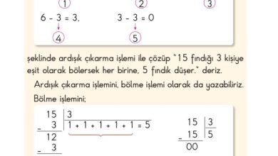 2. Sınıf Matematik Pasifik Yayınları Sayfa 163 Cevapları