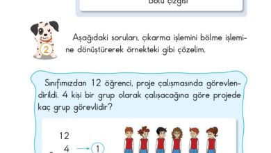 2. Sınıf Matematik Pasifik Yayınları Sayfa 164 Cevapları