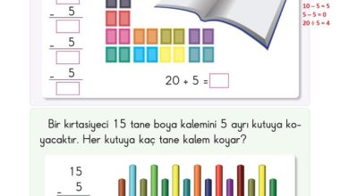 2. Sınıf Matematik Pasifik Yayınları Sayfa 165 Cevapları