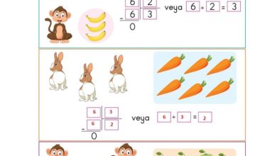 2. Sınıf Matematik Pasifik Yayınları Sayfa 166 Cevapları