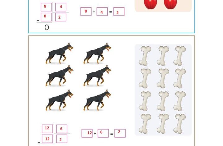 2. Sınıf Matematik Pasifik Yayınları Sayfa 167 Cevapları