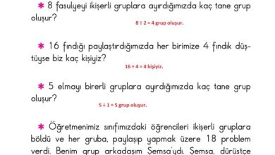 2. Sınıf Matematik Pasifik Yayınları Sayfa 168 Cevapları