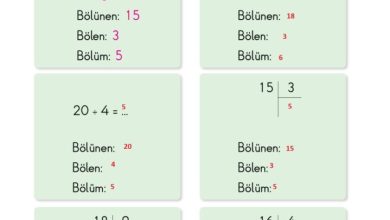 2. Sınıf Matematik Pasifik Yayınları Sayfa 169 Cevapları