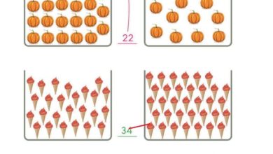 2. Sınıf Matematik Pasifik Yayınları Sayfa 17 Cevapları