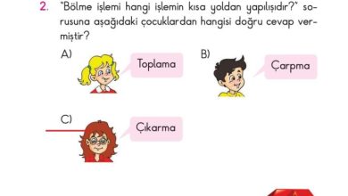 2. Sınıf Matematik Pasifik Yayınları Sayfa 170 Cevapları