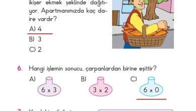 2. Sınıf Matematik Pasifik Yayınları Sayfa 171 Cevapları