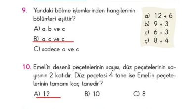 2. Sınıf Matematik Pasifik Yayınları Sayfa 172 Cevapları