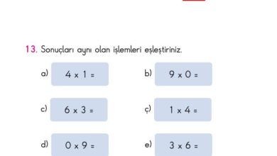 2. Sınıf Matematik Pasifik Yayınları Sayfa 173 Cevapları