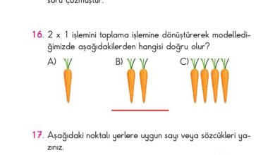 2. Sınıf Matematik Pasifik Yayınları Sayfa 174 Cevapları