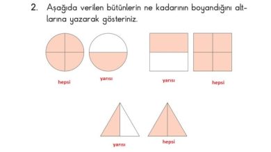 2. Sınıf Matematik Pasifik Yayınları Sayfa 176 Cevapları