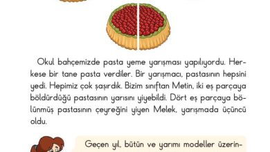 2. Sınıf Matematik Pasifik Yayınları Sayfa 178 Cevapları