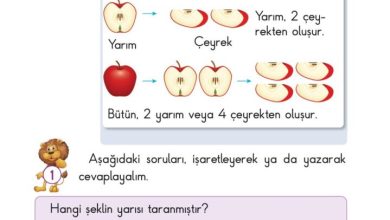 2. Sınıf Matematik Pasifik Yayınları Sayfa 179 Cevapları