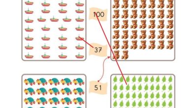 2. Sınıf Matematik Pasifik Yayınları Sayfa 18 Cevapları