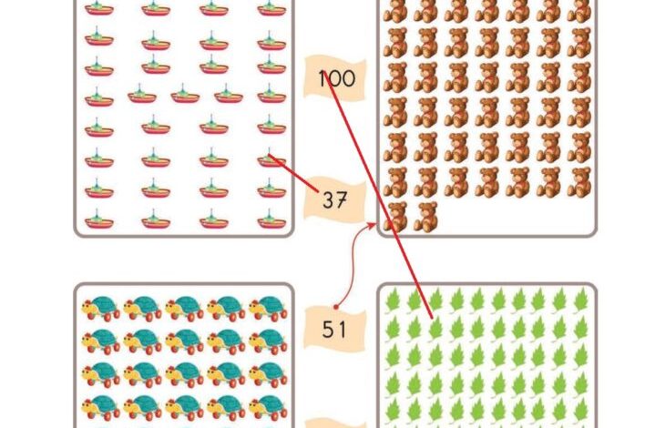 2. Sınıf Matematik Pasifik Yayınları Sayfa 18 Cevapları