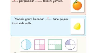 2. Sınıf Matematik Pasifik Yayınları Sayfa 180 Cevapları